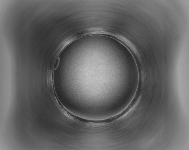 X0000113131289200909110906