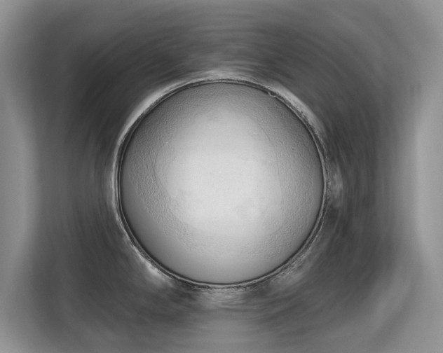 X0000113131294200909110906