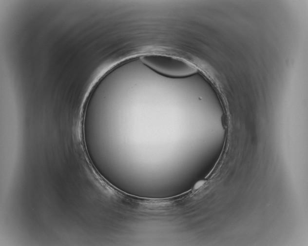 X0000113131296200909110906