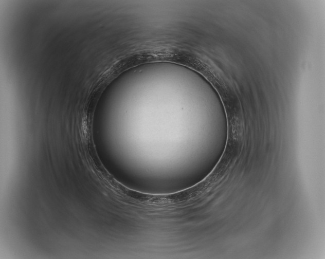 X0000113131298200909110906