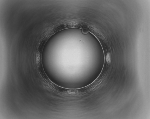 X0000113131299200909110906
