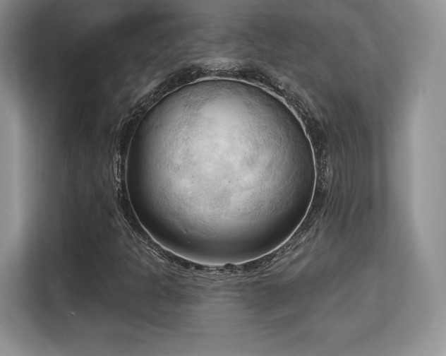 X0000113131301200909110906