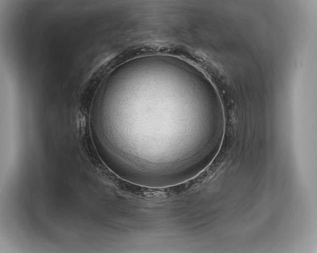 X0000113131302200909110906