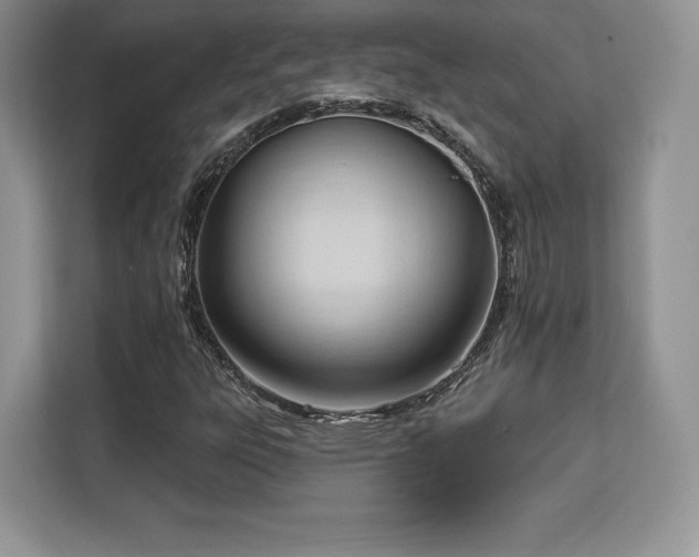 X0000113131303200909110906