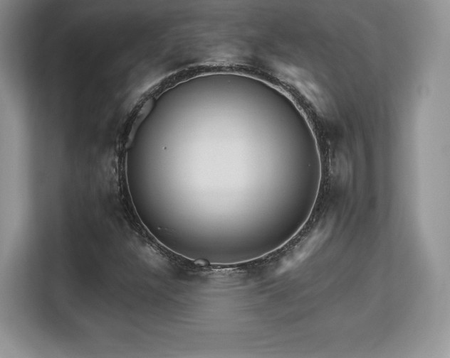 X0000113131304200909110906