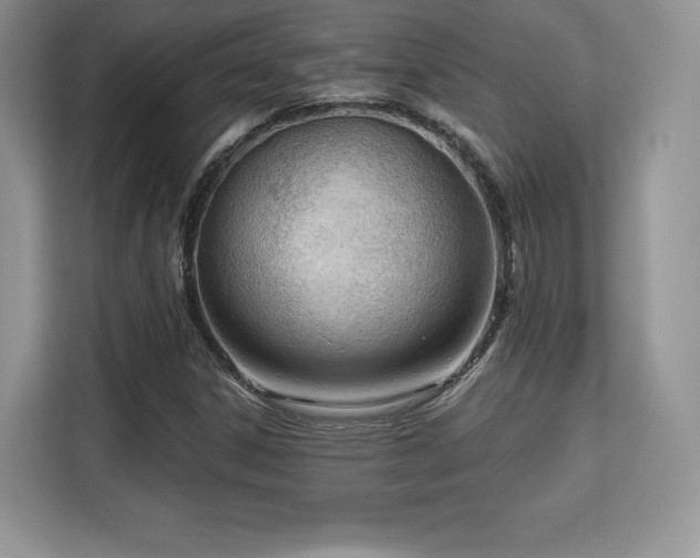 X0000113131306200909110906