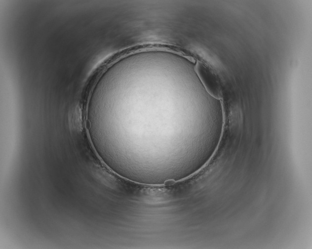 X0000113131310200909110906