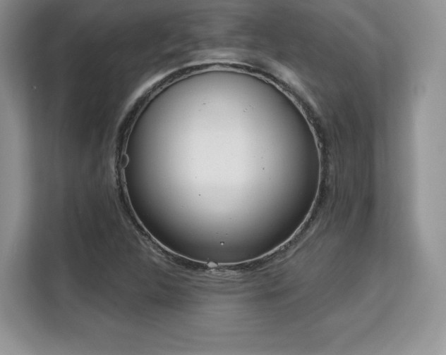 X0000113131312200909110906