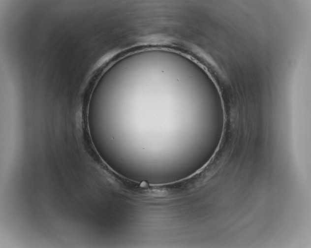 X0000113131315200909110906