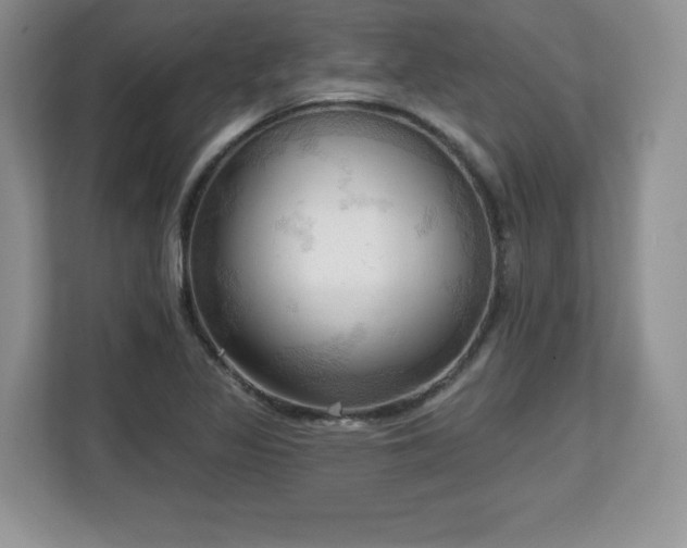 X0000113131317200909110906