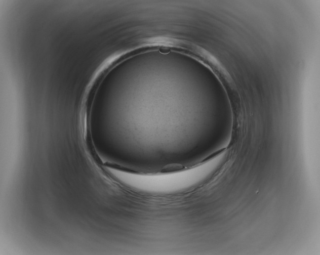X0000113131323200909110906