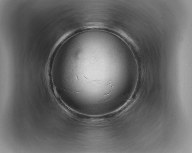 X0000113131325200909110906
