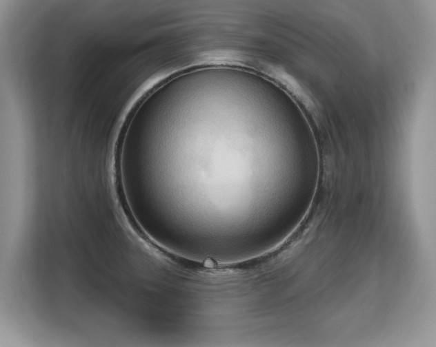 X0000113131331200909110906