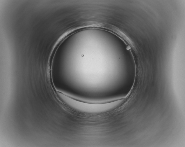 X0000113131332200909110906