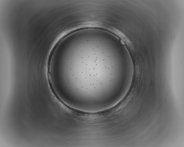 X0000113131334200909110906