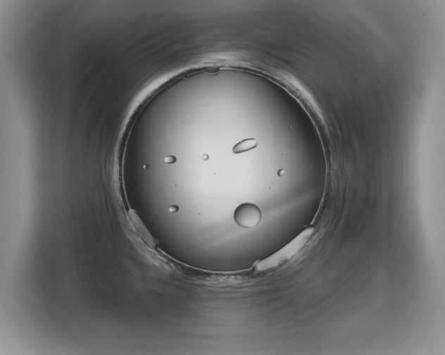 X0000113131336200909110906