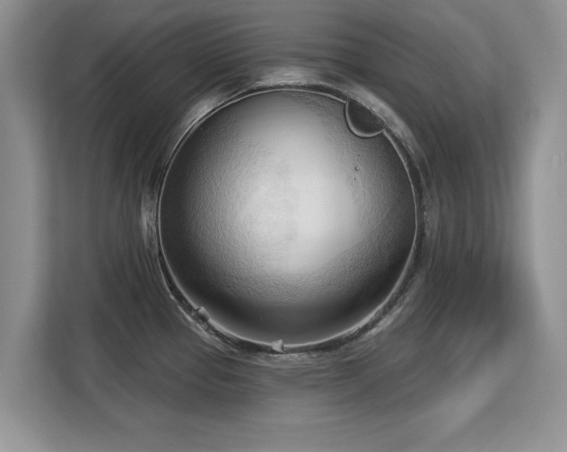 X0000113131337200909110906