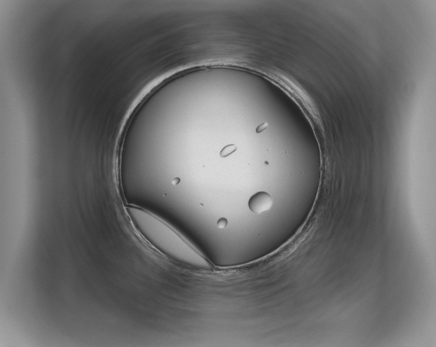 X0000113131340200909110906