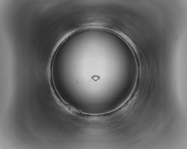 X0000113131341200909110906