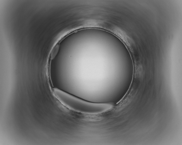X0000113131342200909110906