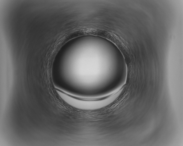 X0000113131345200909110906