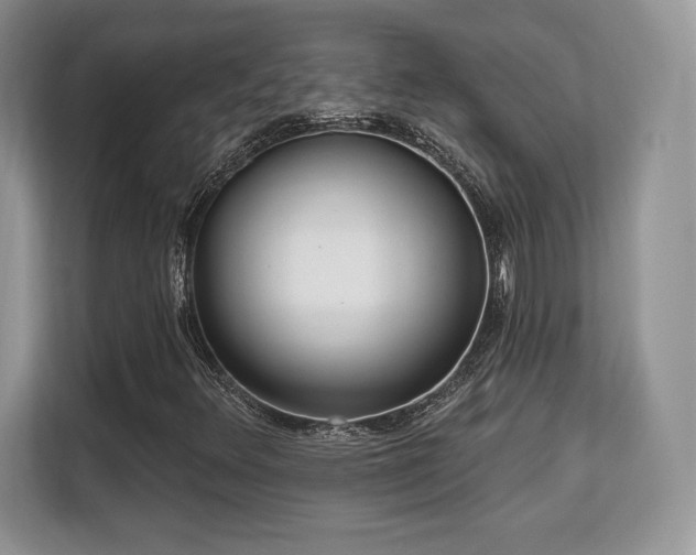 X0000113131348200909110906