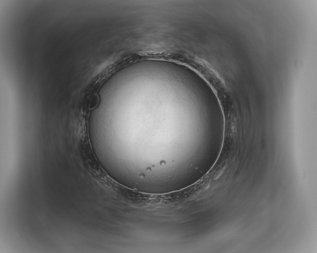 X0000113131350200909110906