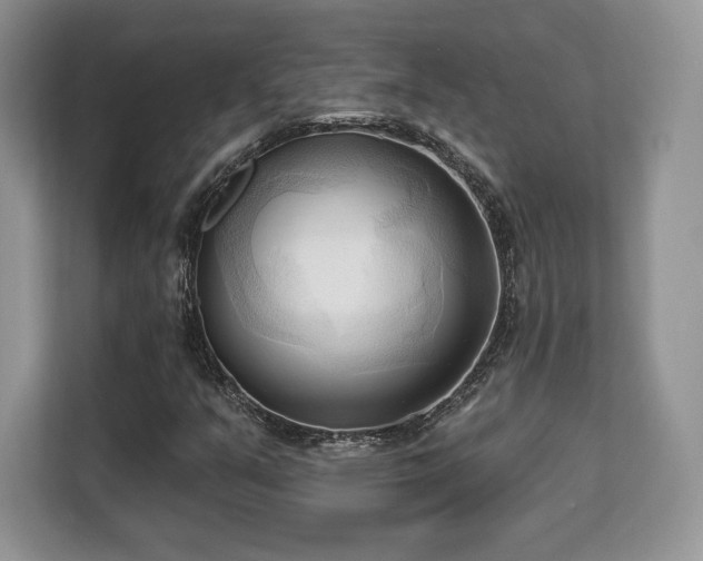 X0000113131351200909110906
