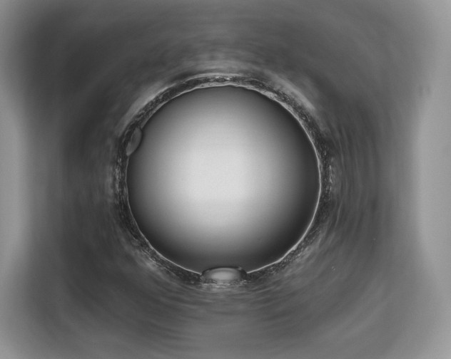 X0000113131352200909110906