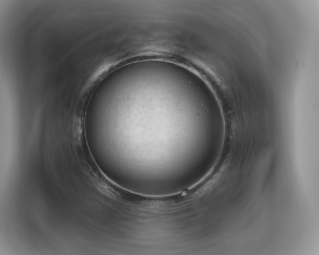 X0000113131355200909110906