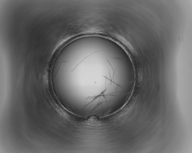 X0000113131356200909110906