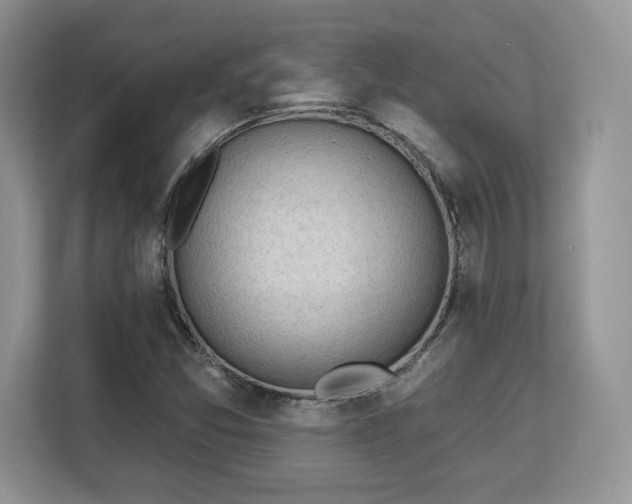 X0000113131357200909110906