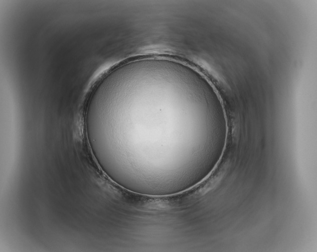 X0000113131358200909110905