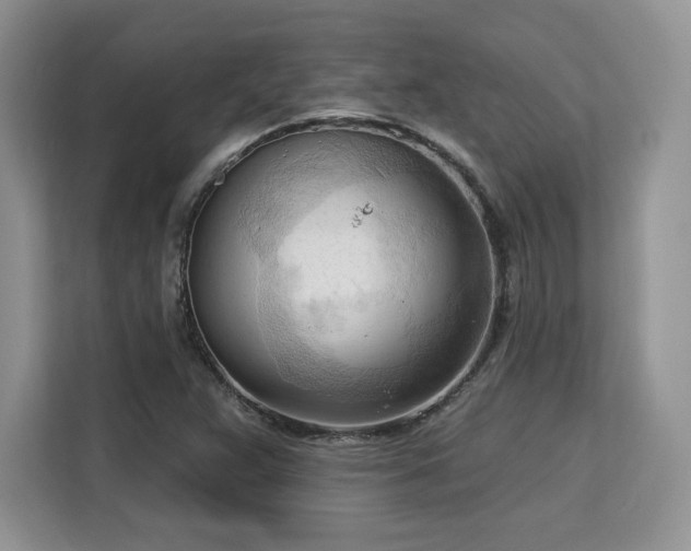 X0000113131359200909110905