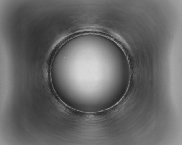 X0000113131360200909110905