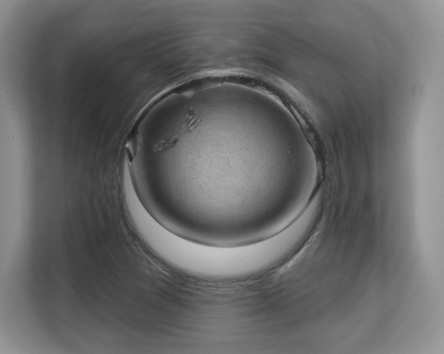 X0000113131361200909110905