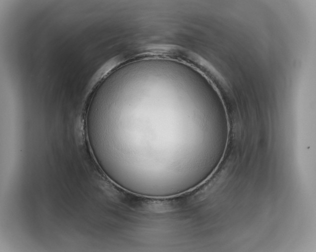 X0000113131362200909110905