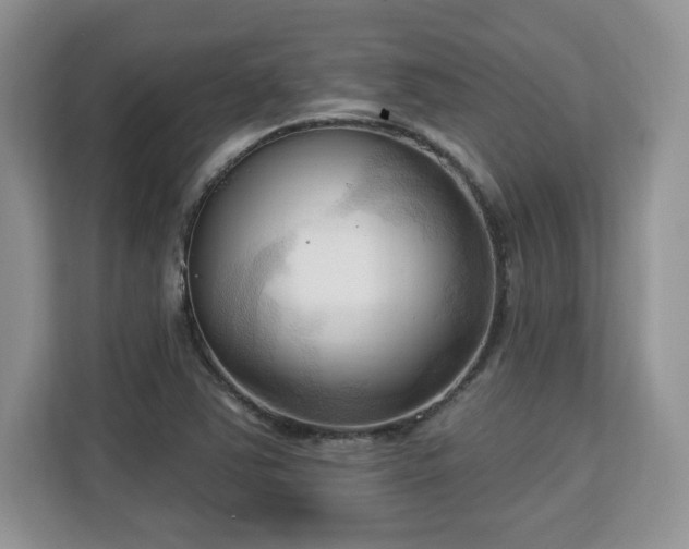 X0000113131363200909110905
