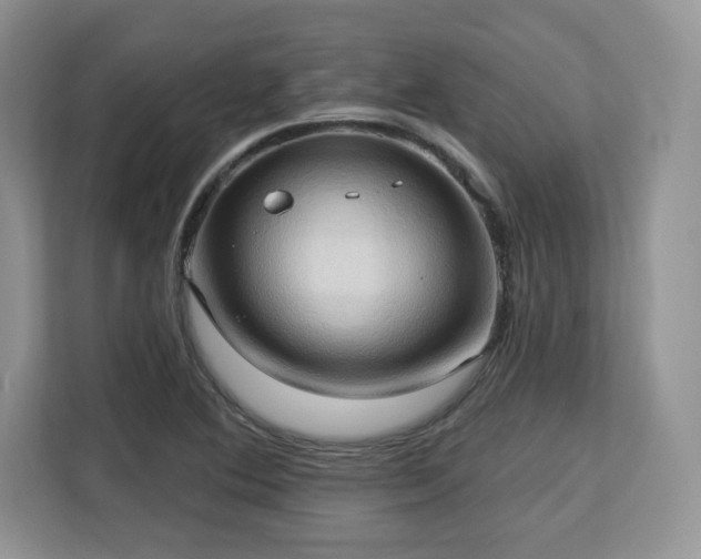 X0000113131364200909110905