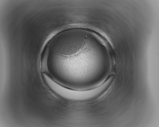X0000113131365200909110905