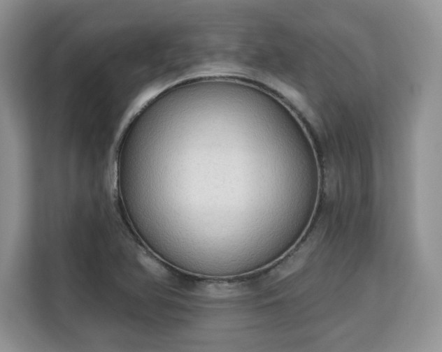 X0000113131366200909110905