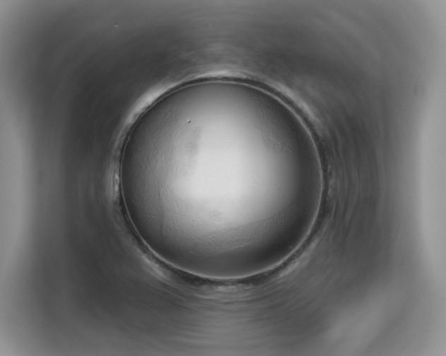 X0000113131367200909110905