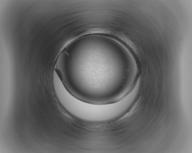 X0000113131369200909110905