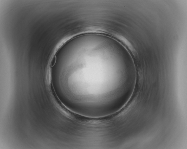 X0000113131371200909110905