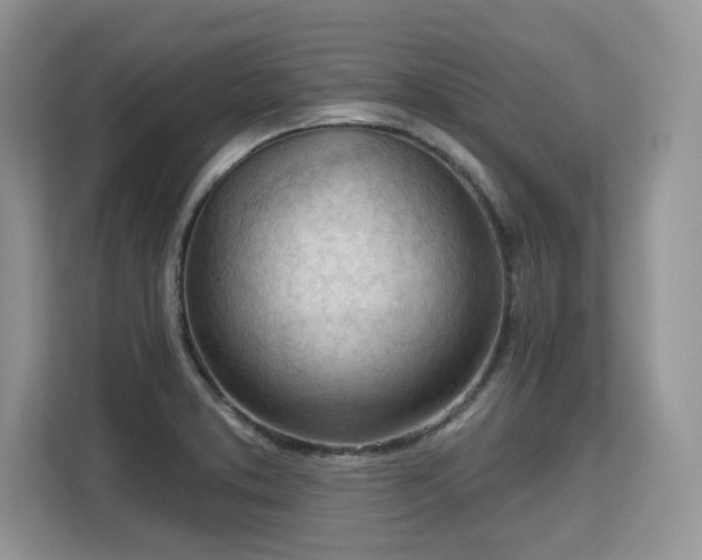 X0000113131373200909110905