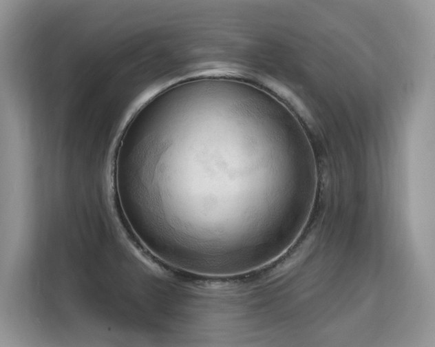 X0000113131375200909110905