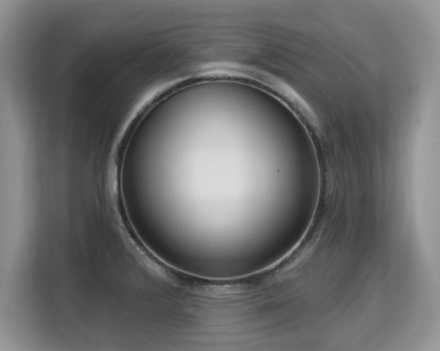 X0000113131376200909110905
