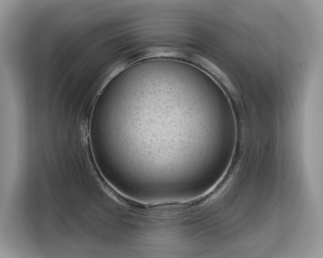 X0000113131377200909110905