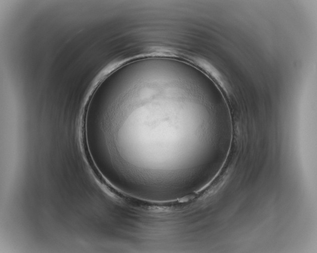 X0000113131379200909110905