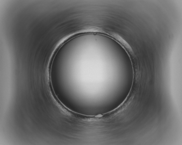 X0000113131380200909110905